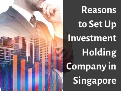 Reasons to Set Up Investment Holding Company in Singapore