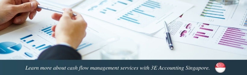 Cash Flow Management Services in Singapore