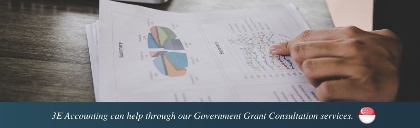 3E Accounting can help through our Government Grant Consultation services.
