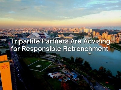 Tripartite Partners Are Advising for Responsible Retrenchment 
