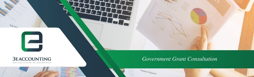 Government Grant Consultation
