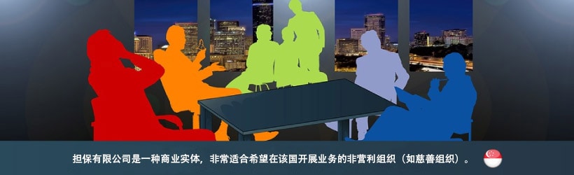 担保有限公司是一种商业实体，非常适合希望在该国开展业务的非营利组织（如慈善组织）。