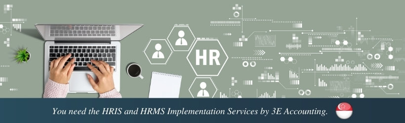You need the HRIS and HRMS Implementation Services by 3E Accounting.