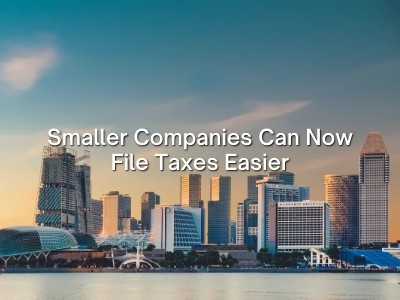 Smaller Companies Can Now File Taxes Easier