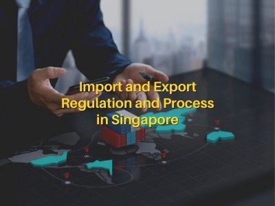 Import and Export Regulation and Process in Singapore