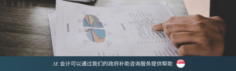 3e会计可以通过我们的政府补助咨询服务提供帮助