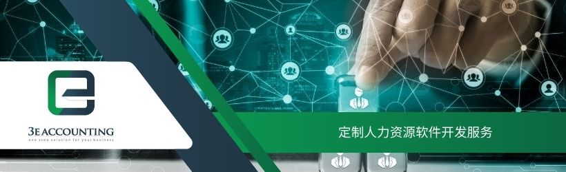定制人力资源软件开发服务