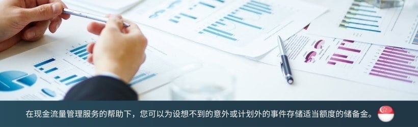 新加坡现金流量管理服务
