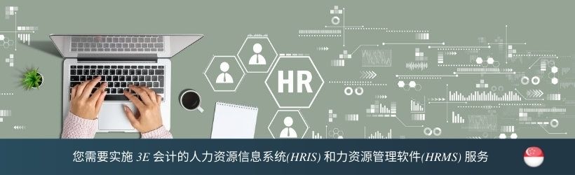 人力资源信息系统（HRIS）以及人力资源管理软件（HRMS）实施服务