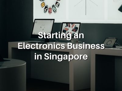 Starting an Electronics Business in Singapore