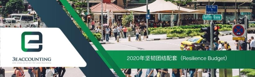 2020年坚韧团结配套（Resilience Budget）