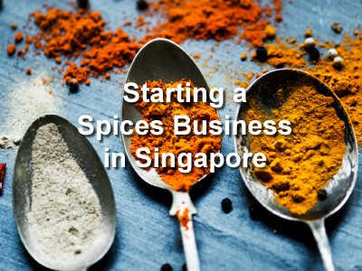 Starting a Spices Business in Singapore