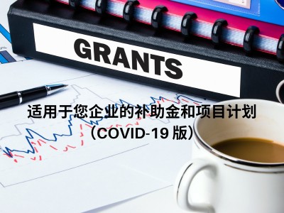 适用于您企业的补助金和项目计划（COVID-19 版） 