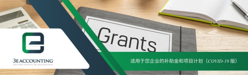 适用于您企业的补助金和项目计划（COVID-19 版） 
