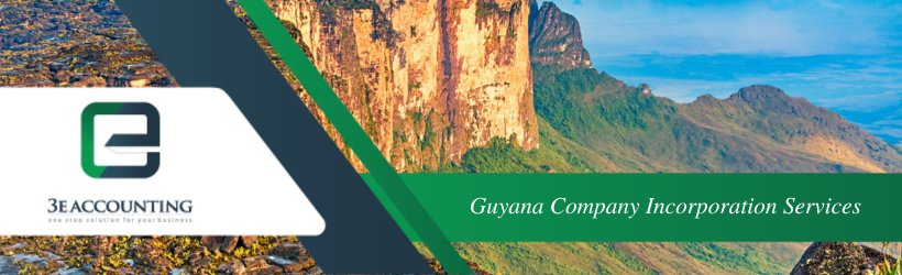 Guyana Company Incorporation Services