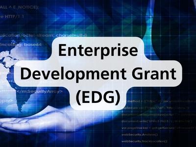 Enterprise Development Grant (EDG)