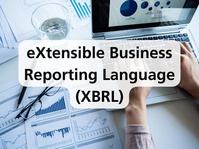 eXtensible Business Reporting Language