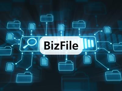 BizFile