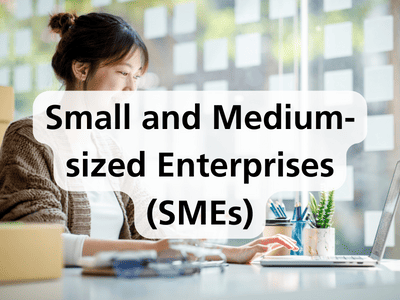 Small and Medium-sized Enterprises (SMEs)