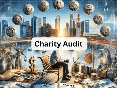 Charity Audit