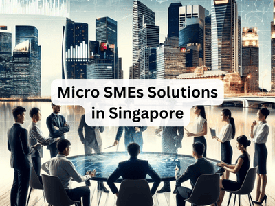 Micro SMEs Solutions in Singapore
