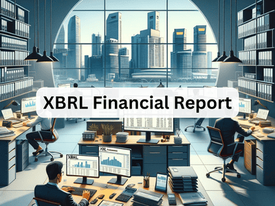 XBRL Financial Report