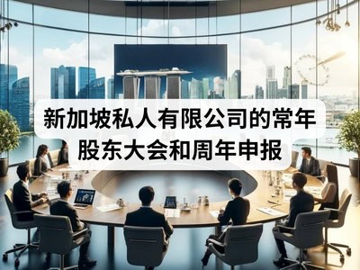 新加坡私人有限公司的常年股东大会和周年申报