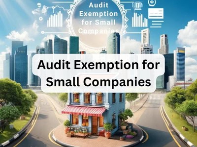 Audit Exemption for Singapore Small Companies Concept