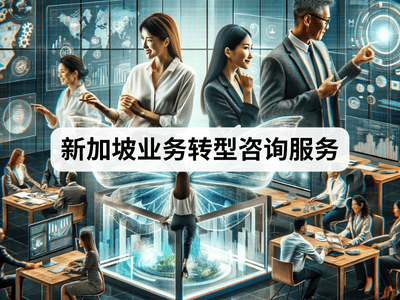 新加坡业务转型咨询服务