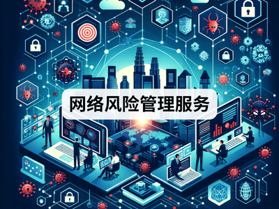 网络风险管理服务