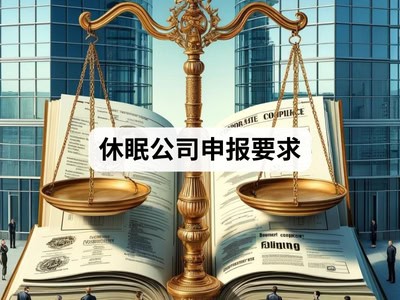 休眠公司申报要求