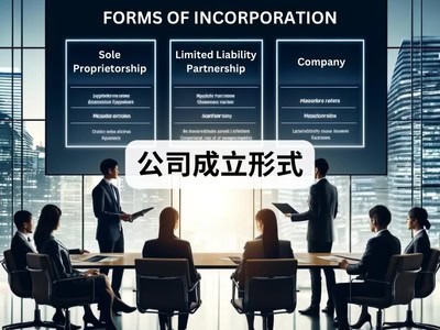 公司成立形式