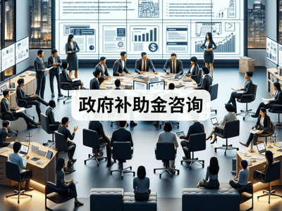 政府补助金咨询