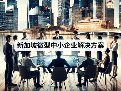 新加坡微型中小企业解决方案