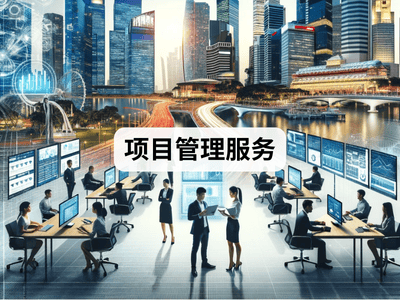 项目管理服务