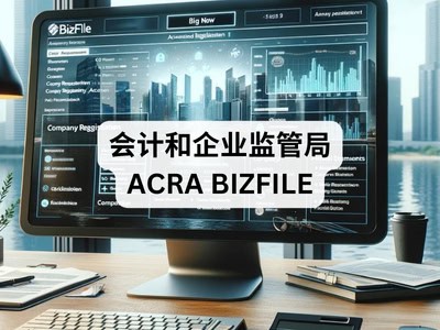 会计和企业监管局 ACRA BizFile