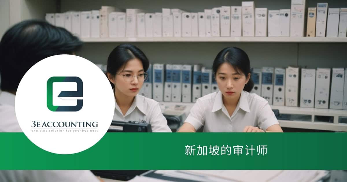 新加坡的审计师 – 您该了解的重点