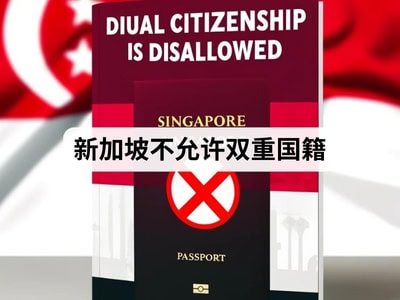 新加坡不允许双重国籍
