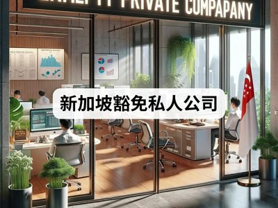 新加坡豁免私人公司