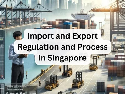 Import and Export Regulation and Process in Singapore