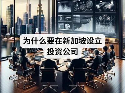 为什么要在新加坡设立投资公司