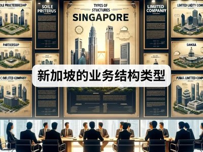 新加坡的业务结构类型