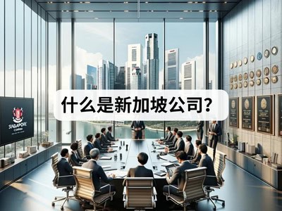 什么是新加坡公司？
