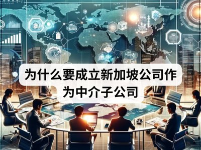 为什么要成立新加坡公司作为中介子公司