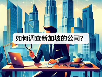 如何调查新加坡的公司