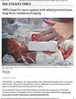 SMEs hope for more support with added parental leave, large firms confident of coping _ The Straits Times