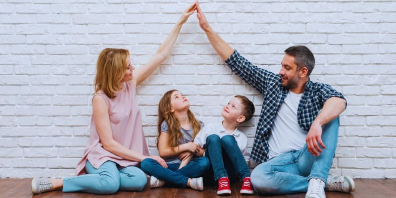 Understanding the Family Scheme