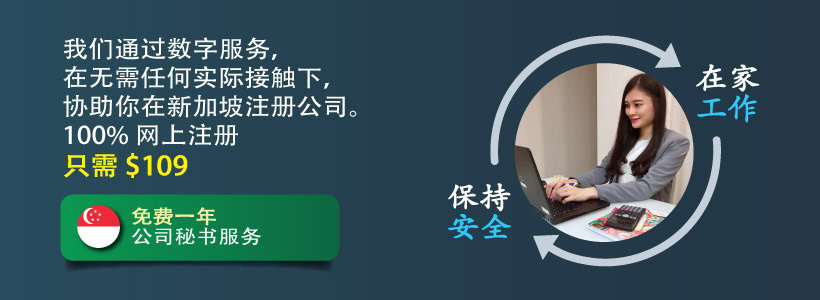 新加坡公司注册服务