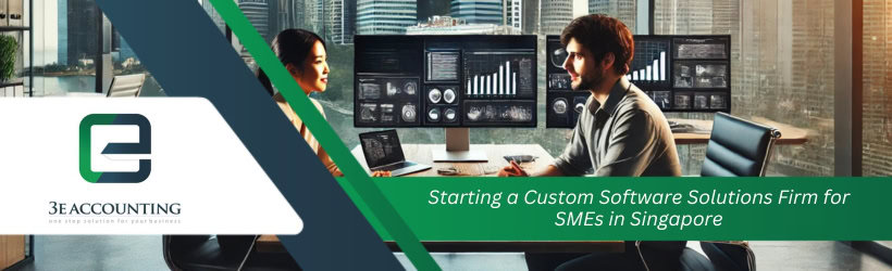 Starting a Custom Software Solutions Firm for SMEs in Singapore