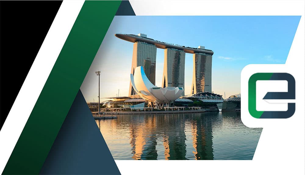 Singapore Company Domain Name Checker